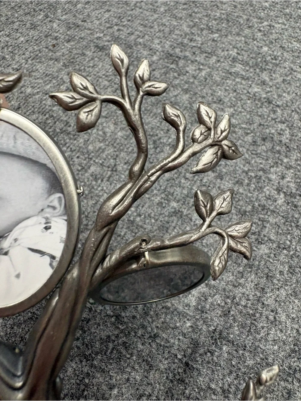Carr elegant tree